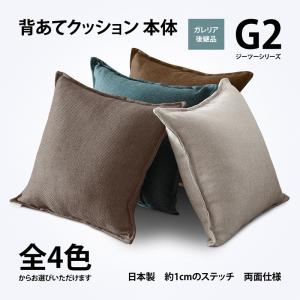 クッション 本体 ガワ約45×45cm G2 ジーツー 45角 背あて