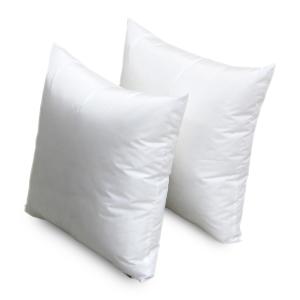 クッション 本体 ガワ約45×45cm ヌード 2個セット 45角