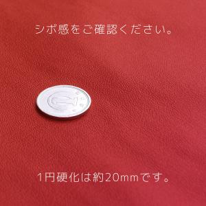 日本製 マルチカバー セミオーダー R-24 ...の詳細画像4