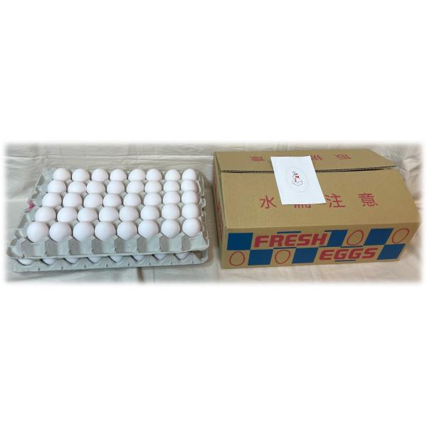 つるらん　80個入