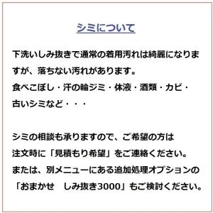 着物クリーニング 丸洗い 丁寧な下洗いしみ抜き...の詳細画像1