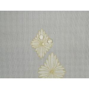 高級・撥水ガード加工　仕立て上がりの着物　振袖・留袖・ヒヨク付き着物