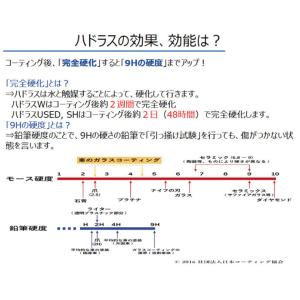 (クラブリペア)ハドラス ガラスコーティング加...の詳細画像2