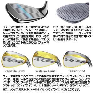 コブラ スネークバイト2 ウェッジ N.S.P...の詳細画像1