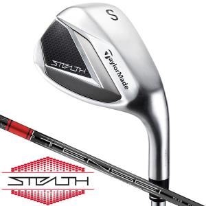 テーラーメイド　ステルス　ＴＥＮＳＥＩ　ＲＥＤ　ＴＭ６０　アイアン単品　右用