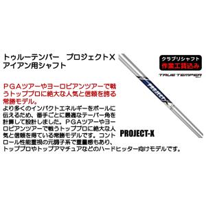 クラブリシャフト トゥルーテンパー トゥルーテ...の詳細画像1