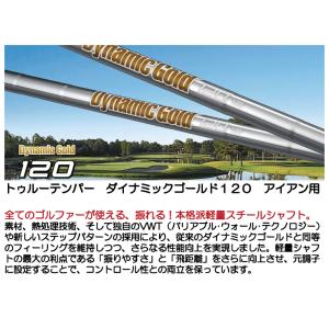 クラブリシャフト トゥルーテンパー ダイナミッ...の詳細画像1