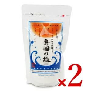 沖縄海塩研究所 粟国の塩 160g × 2袋