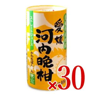 愛工房 愛媛河内晩柑 125ml×30本 ケース販売｜tsutsu-uraura