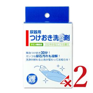 浅井商事 尿器用 つけおき洗錠剤 20錠入×2個 年末大掃除｜tsutsu-uraura