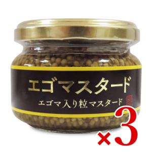 浅沼醤油店 エゴマスタード 120g × 3個