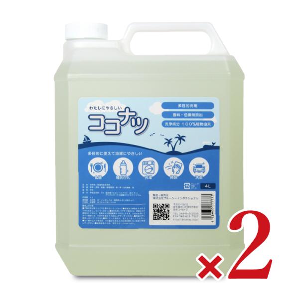 ココナツ 洗剤　お徳用4L ×2本 ブルーシーインターナショナル 