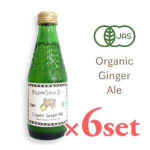 ブラウンシュガー ファースト 有機ジンジャーエール 180ml × 6本セット