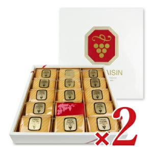 栄光堂製菓 ハイレーズン 箱 15個 × 2箱｜tsutsu-uraura
