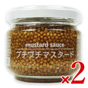 FIND NEWS ファインドニューズ プチプチマスタード 100g