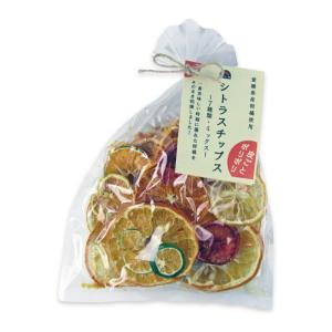 シトラスチップス ミックス 50g 無添加 ドライフルーツ げんき本舗