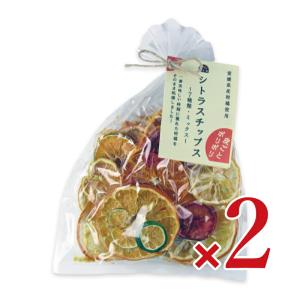 シトラスチップス ミックス 50g 無添加 ドライフルーツ げんき本舗