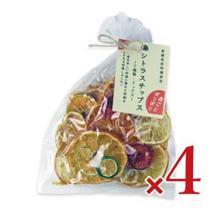 シトラスチップス ミックス 50g 無添加 ドライフルーツ げんき本舗