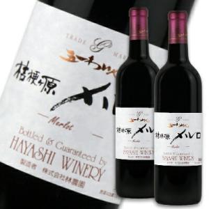 林農園 五一わいん 桔梗ヶ原メルロ 赤 720ml × 2本 ［赤ワイン フルボディ］