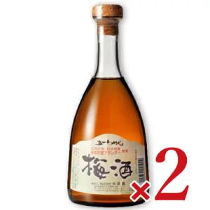 五一わいん 梅酒 500ml × 2本林農園 お酒 リキュール ビン 瓶 五一ワイン 日本 信州 桔...