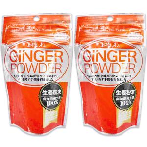 菱和園 ひしわ 高知県産 生姜粉末 20g × 2袋 セット