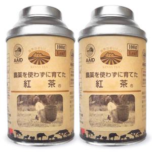 ひしわ 農薬を使わずに育てた紅茶 リーフティー 缶 100g × 2個｜tsutsu-uraura