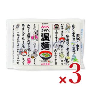 はたけなか製麺 みちのく手延べ温麺 70g×4束 × 3袋｜tsutsu-uraura