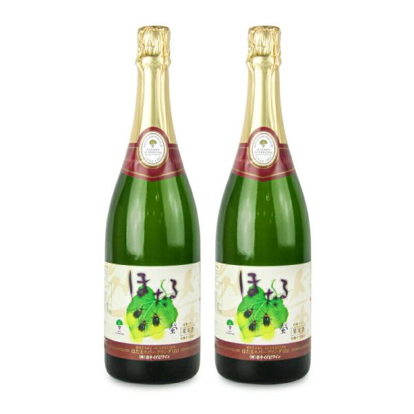 岩手くずまきワイン 葛巻ワイン ほたる スパークリング 白 750ml × 2本
