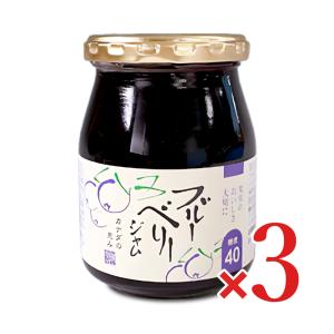 伊豆フェルメンテ ブルーベリージャム 300g × 3本