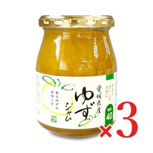 伊豆フェルメンテ 東伊豆産ニューサマーオレンジジャム 300g × 3本