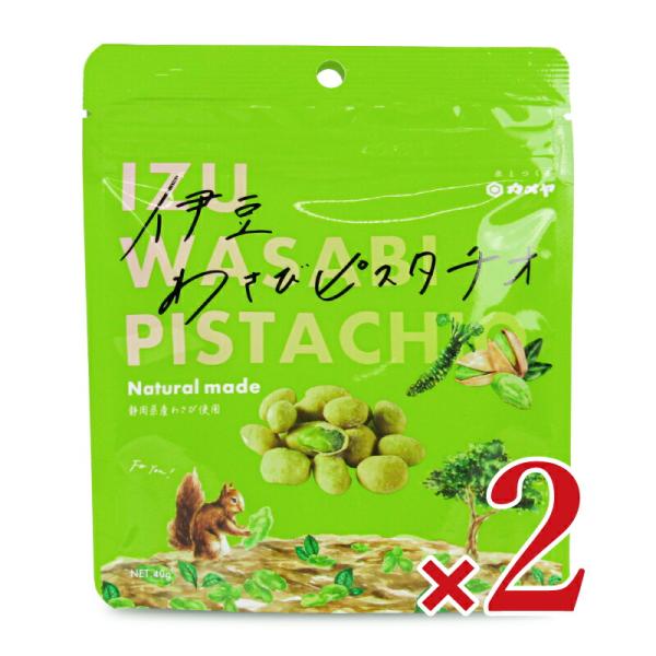 カメヤ食品 伊豆わさびピスタチオ 40g × 2袋