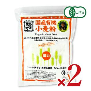 金沢大地 国産有機小麦粉 薄力粉 500g × 2袋 有機JAS