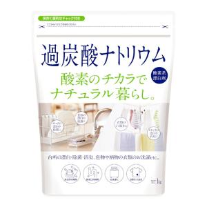 漂白 除菌 過炭酸ナトリウム 20kg 酸素系 業務用 過炭酸ソーダ (同梱