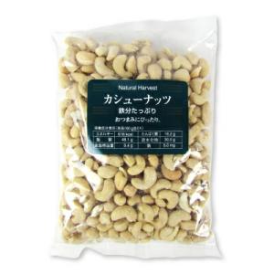 共立食品 カシューナッツ 500g｜tsutsu-uraura