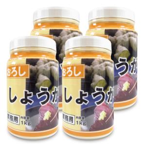 九州ファーム おろししょうが 有塩 1kg × 4個