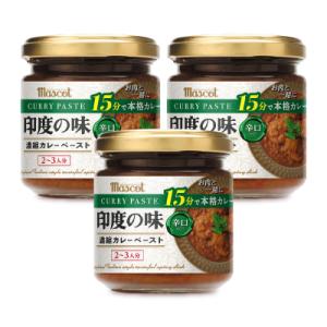 マスコット 印度の味 辛口 180g × 3個