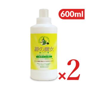 緑の魔女 洗濯洗剤 洗剤 液体 ランドリー5L 泡タイププレミアムセット