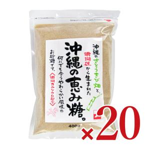三井製糖 スプーン印 沖縄の恵み糖 400g×10個×2箱 ケース販売｜tsutsu-uraura