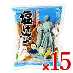 南国製菓  龍馬塩けんぴ 225g × 15個 ケース販売