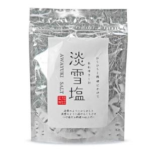 ニットーリレー 淡雪塩 20g 日東食品工業｜tsutsu-uraura