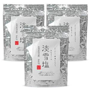 ニットーリレー 淡雪塩 20g × 3袋 日東食品工業｜tsutsu-uraura