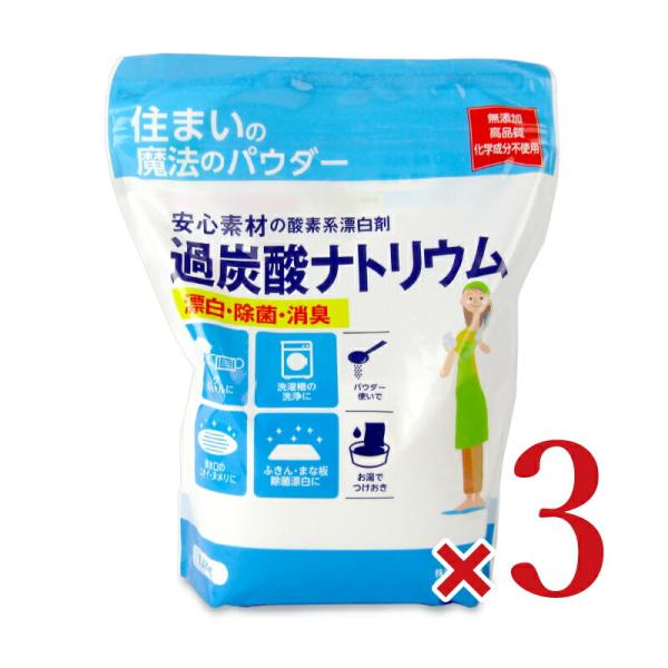 丹羽久 住まいの魔法のパウダー過炭酸ナトリウム 1kg × 3袋 年末大掃除