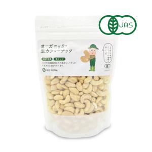 ナチュラルキッチン オーガニック カシューナッツ(生) ( 380g