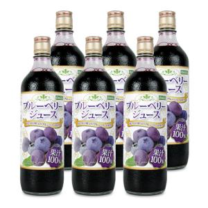 ブルーベリージュース100％ 720ml×4本セット定期便 ブルーベリー