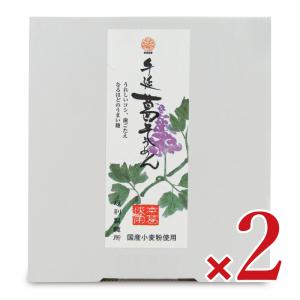 坂利製麺所 手延 葛そうめん 900g × 2個