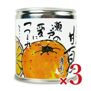 しまなみ 甘夏 缶詰 295g × 3缶  [グリップコーポレイション]｜tsutsu-uraura