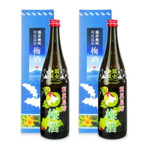 高砂酒造 国士無双 利尻昆布梅酒 720ml×2本