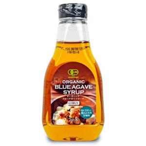 テルヴィス 有機ブルーアガベシロップ 330g ...の商品画像