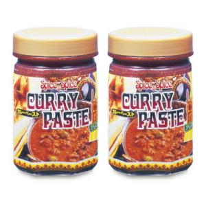 カレールー テーオー食品 カレーペースト 450g × 2個 香辛料 スパイス 瓶