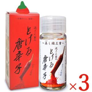 辻製油 うれし野ラボ  辻さん家のとける唐辛子 16g × 3個 セット